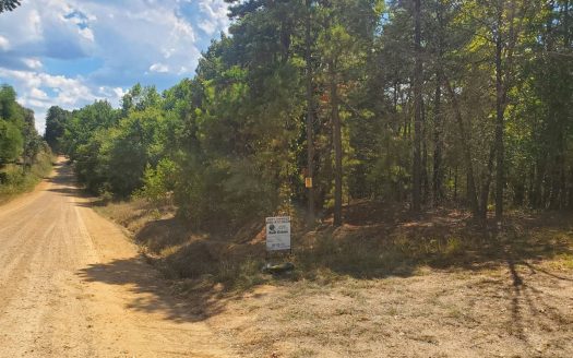photo for a land for sale property for 35115-85734-Sawyer-Oklahoma