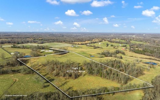 photo for a land for sale property for 16058-23119-Scottsville-Kentucky