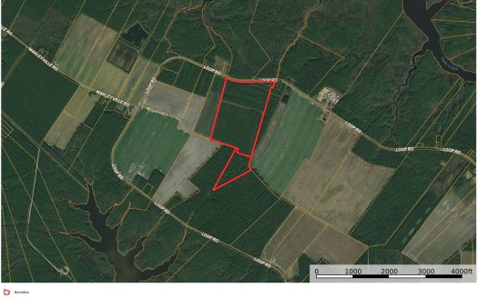 photo for a land for sale property for 32111-89324-Scranton-North Carolina