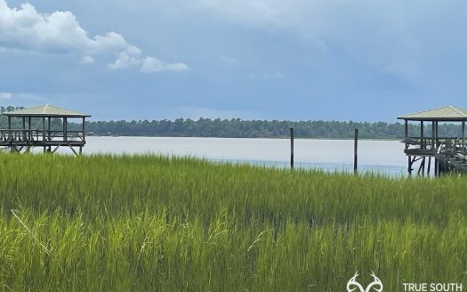 photo for a land for sale property for 39024-23062-Seabrook-South Carolina