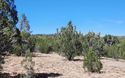 photo for a land for sale property for 02036-23196-Seligman-Arizona