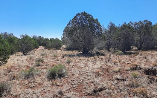 photo for a land for sale property for 02036-22101-Seligman-Arizona