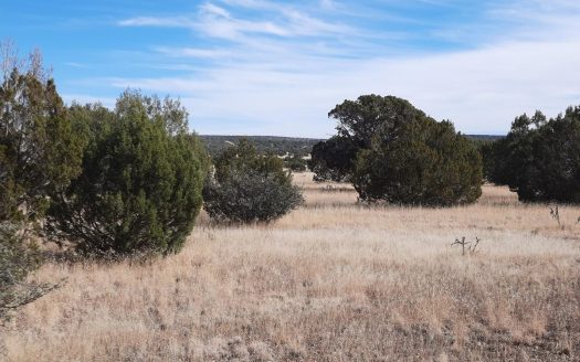 photo for a land for sale property for 02036-22173-Seligman-Arizona