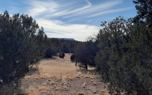 photo for a land for sale property for 02036-22176-Seligman-Arizona