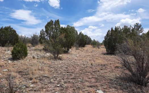photo for a land for sale property for 02036-22301-Seligman-Arizona