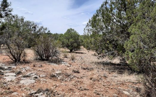 photo for a land for sale property for 02036-22305-Seligman-Arizona