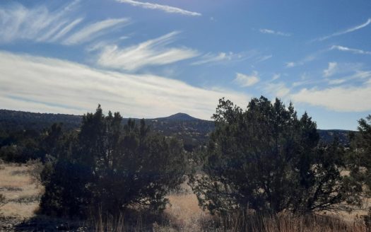 photo for a land for sale property for 02036-22371-Seligman-Arizona