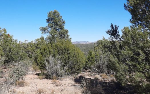 photo for a land for sale property for 02036-22373-Seligman-Arizona