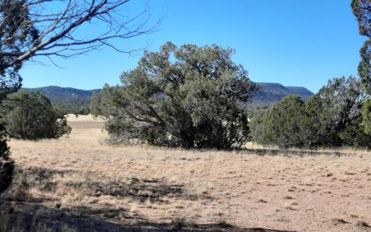photo for a land for sale property for 02036-22377-Seligman-Arizona