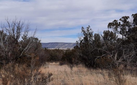 photo for a land for sale property for 02036-23004-Seligman-Arizona