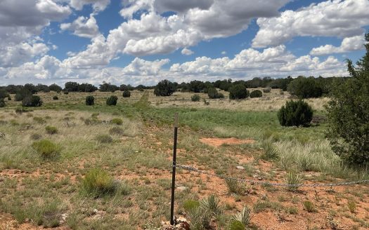 photo for a land for sale property for 02036-23085-Seligman-Arizona