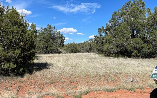 photo for a land for sale property for 02036-23099-Seligman-Arizona