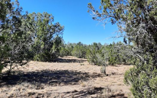 photo for a land for sale property for 02036-23127-Seligman-Arizona