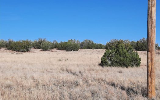 photo for a land for sale property for 02036-23128-Seligman-Arizona