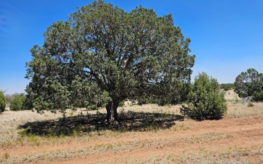 photo for a land for sale property for 02036-23154-Seligman-Arizona