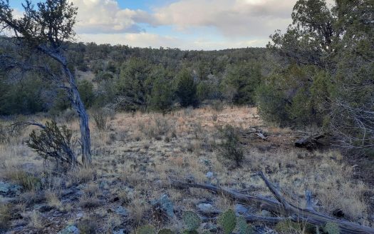 photo for a land for sale property for 02036-23158-Seligman-Arizona