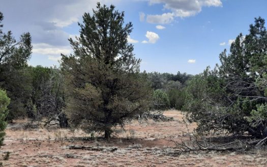 photo for a land for sale property for 02036-23166-Seligman-Arizona