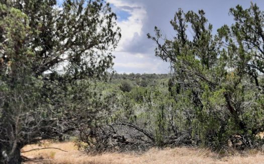 photo for a land for sale property for 02036-23167-Seligman-Arizona