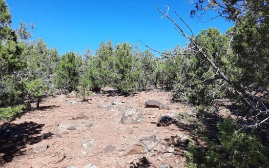 photo for a land for sale property for 02036-23183-Seligman-Arizona