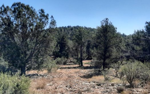 photo for a land for sale property for 02036-23192-Seligman-Arizona