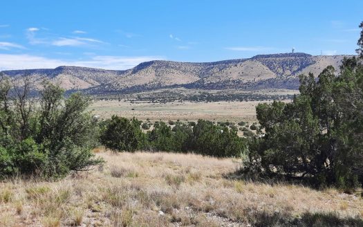 photo for a land for sale property for 02036-23199-Seligman-Arizona