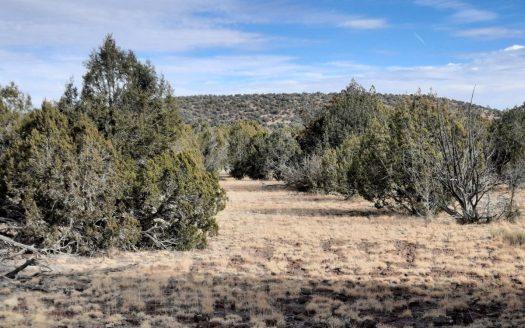 photo for a land for sale property for 02036-23234-Seligman-Arizona