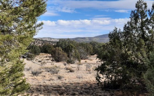 photo for a land for sale property for 02036-23235-Seligman-Arizona