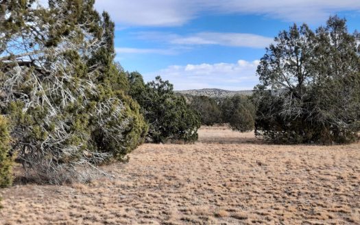 photo for a land for sale property for 02036-23236-Seligman-Arizona