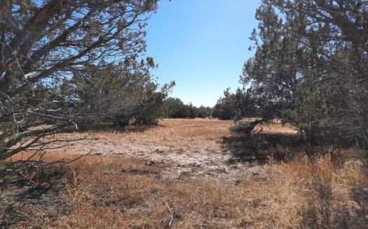 photo for a land for sale property for 02036-24006-Seligman-Arizona