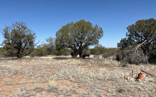 photo for a land for sale property for 02036-24041-Seligman-Arizona