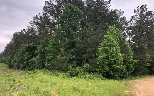 photo for a land for sale property for 03019-03788-Sheridan-Arkansas