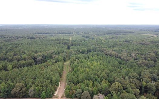 photo for a land for sale property for 23042-45632-Simsboro-Louisiana