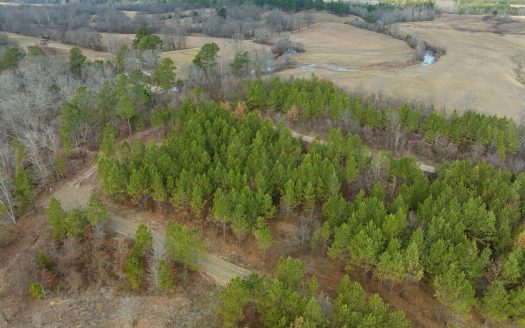 photo for a land for sale property for 35018-10022-Smithville-Oklahoma
