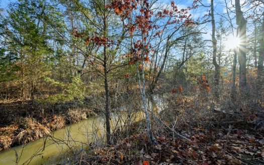 photo for a land for sale property for 35018-10038-Smithville-Oklahoma