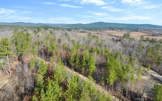 photo for a land for sale property for 35018-10039-Smithville-Oklahoma