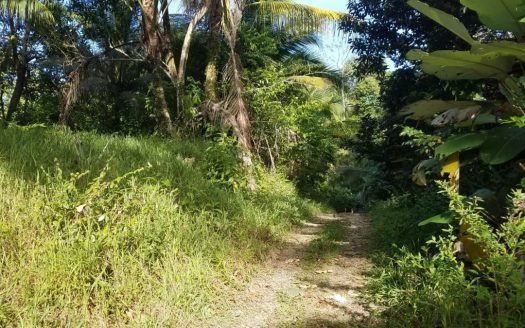 photo for a land for sale property for 60002-18324-Solarte-Panama