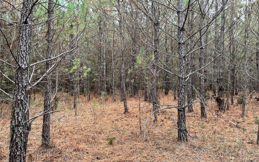 photo for a land for sale property for 39053-12965-Spartanburg-South Carolina