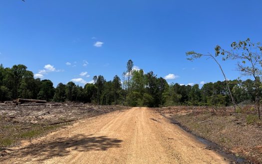 photo for a land for sale property for 03019-03724-Stephens-Arkansas