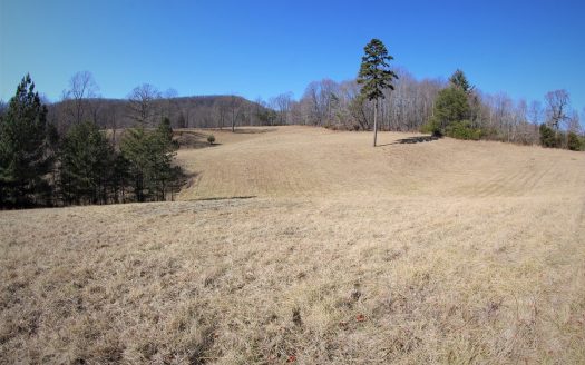 photo for a land for sale property for 45048-02315-Stuart-Virginia