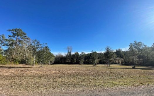photo for a land for sale property for 23042-40636-Summit-Mississippi