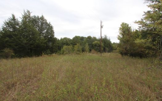 photo for a land for sale property for 42233-13830-Sumner-Texas