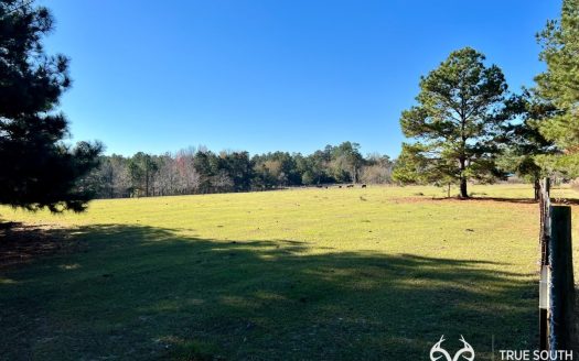 photo for a land for sale property for 39024-23093-Sylvania-Georgia