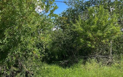 photo for a land for sale property for 42281-07378-Taft-Texas