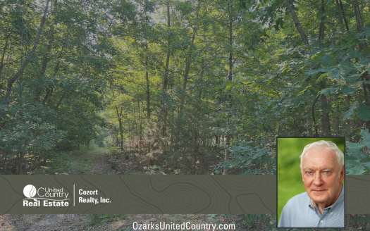 photo for a land for sale property for 24078-87440-Thayer-Missouri