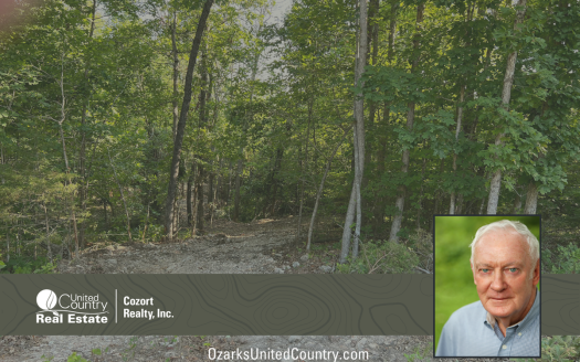photo for a land for sale property for 24078-87450-Thayer-Missouri