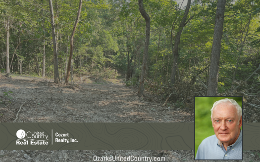 photo for a land for sale property for 24078-87460-Thayer-Missouri
