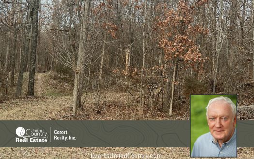 photo for a land for sale property for 24078-92140-Thayer-Missouri