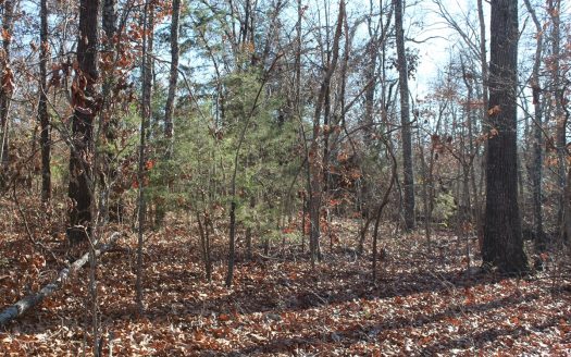 photo for a land for sale property for 24084-65030-Theodosia-Missouri