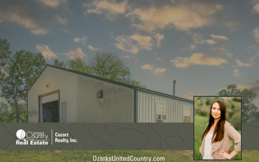 photo for a land for sale property for 24078-88670-Thornfield-Missouri