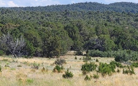 photo for a land for sale property for 30050-38061-Tijeras-New Mexico